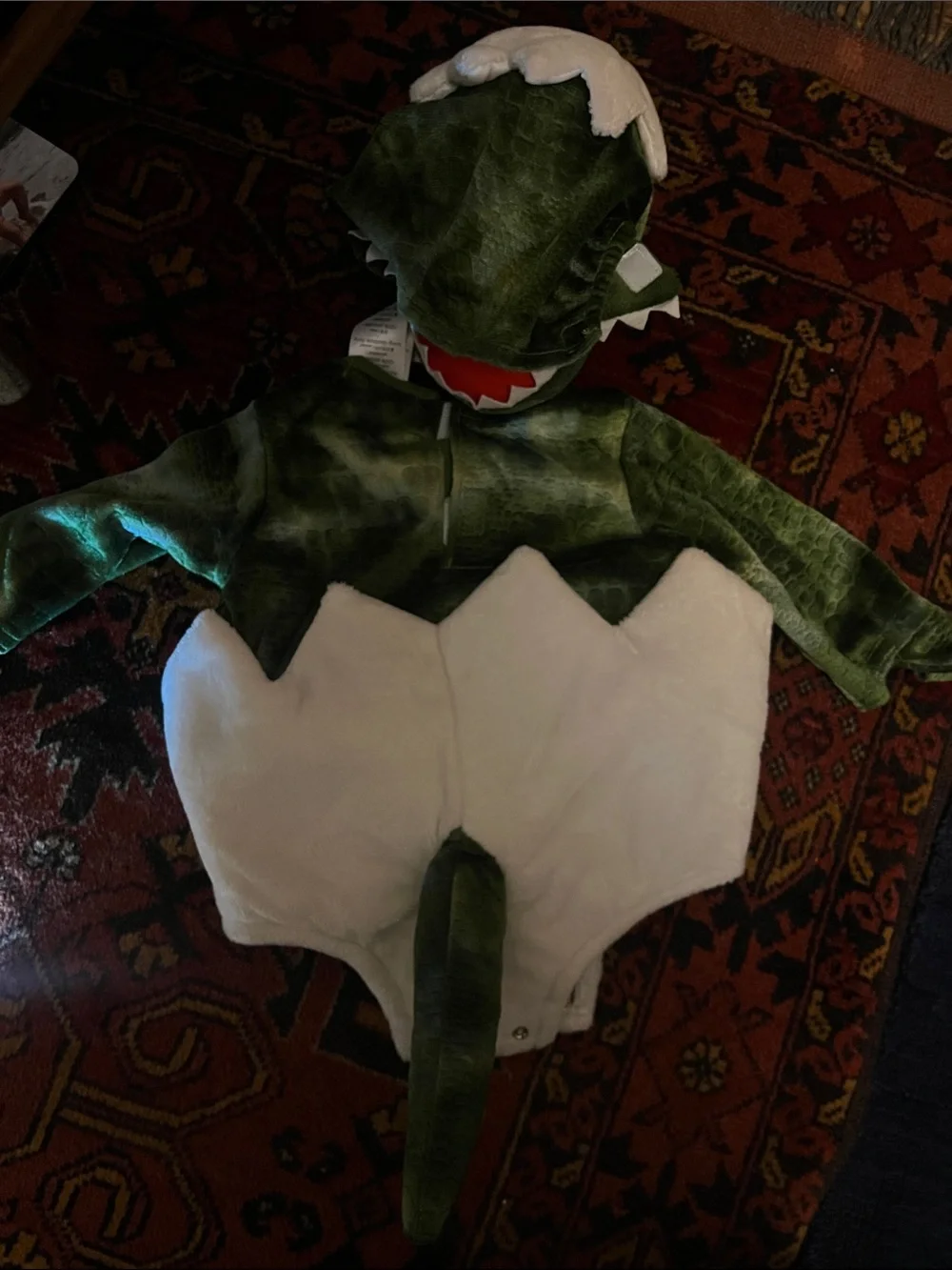 Pottery Barn Dino Egg Kids Costume - 0-6mo